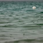 Coastal Property Risks Amid Changing Climate Conditions