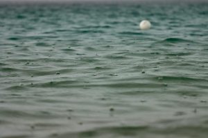 Coastal Property Risks Amid Changing Climate Conditions