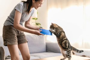 What Makes a House Truly Family Friendly?