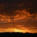 Office Looks for Warm Weather Days