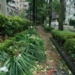 How to Build Resilient Relationships That Weather Any Storm