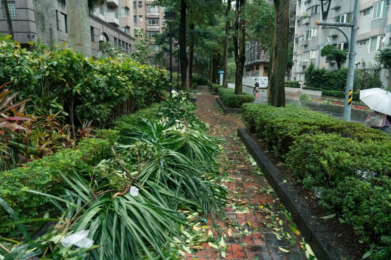 How to Build Resilient Relationships That Weather Any Storm