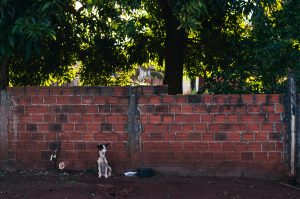How to Analyze Neighborhood Crime Trends Accurately
