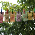 Appreciation Versus Cash Flow in Investment Decisions