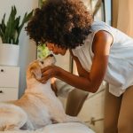 The Basics of Owner Financing For Sellers