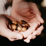 The Complete Guide to Eco-Friendly Living Without Sacrifice