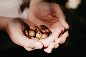 The Complete Guide to Eco-Friendly Living Without Sacrifice