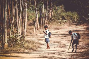 Understanding early literacy programs through education policy