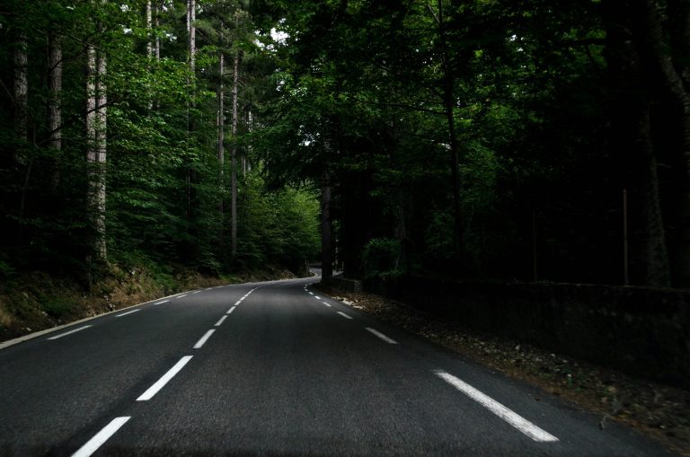 Driver Monitoring Systems for Enhanced Road Safety