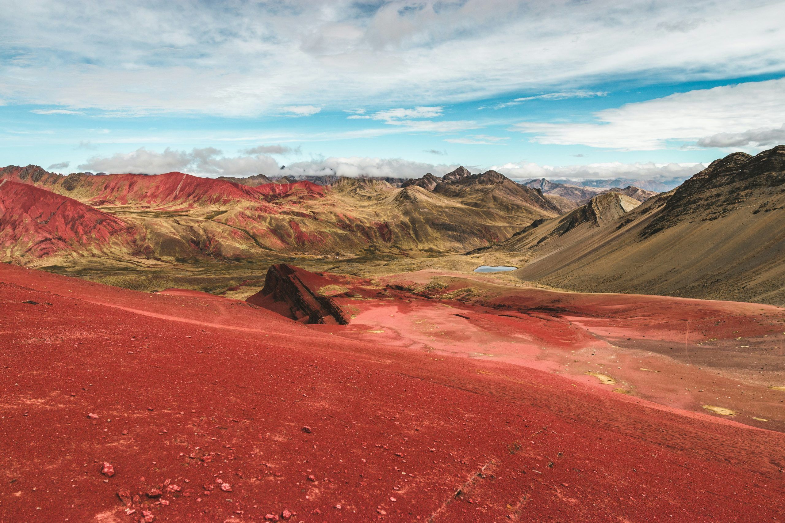 Hybrid Field Trips: Real and Virtual Exploration